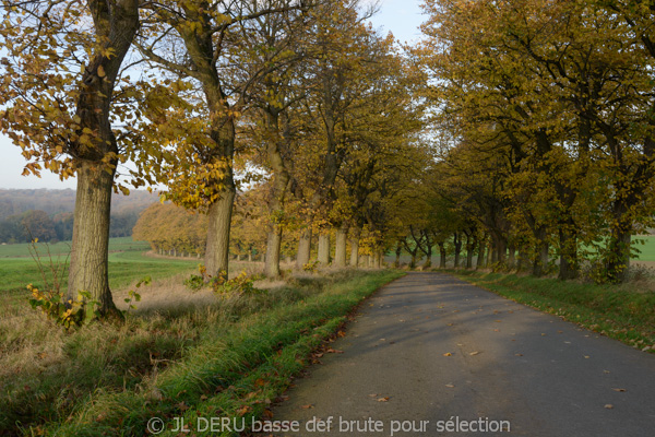 paysage automne